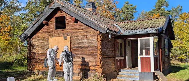 Två tekniker i vita skyddsdräkter behandlar fasaden på ett timmerhus med ryggspruta en solig höstdag