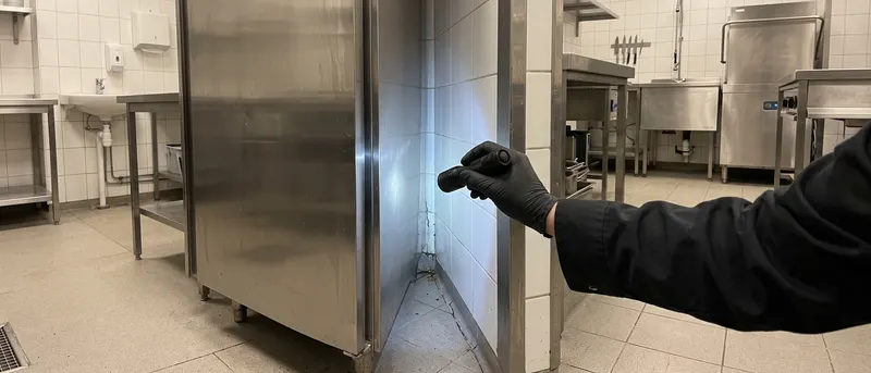 Illustration av en hand i svart handske som lyser med ficklampa in i springan bakom ett kylskåp i rostfritt i ett storkök