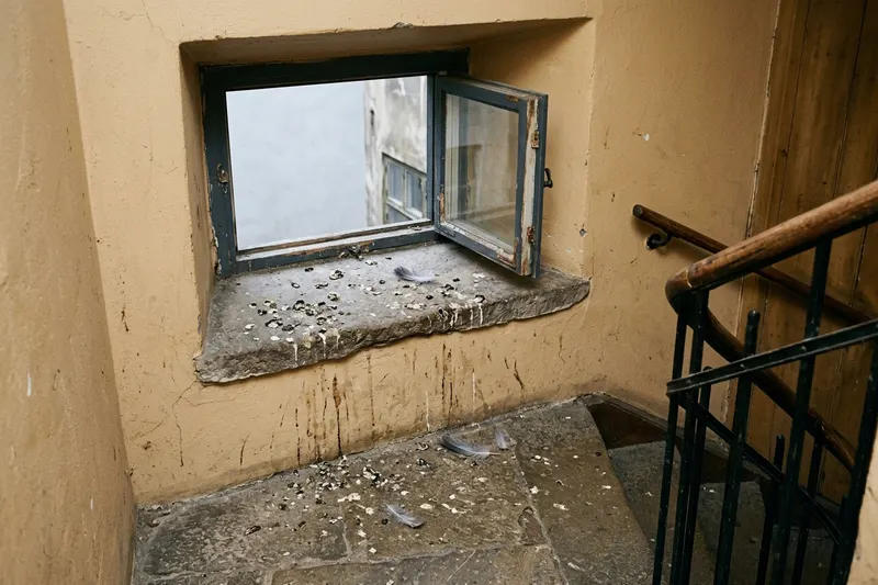 Duvspillning på en fönsterbänk av sten och på golvet under ett halvöppet vädringsfönster högst upp i ett äldre trapphus
