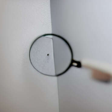 Pälsänger: 4 lätta steg för att bli av med dem